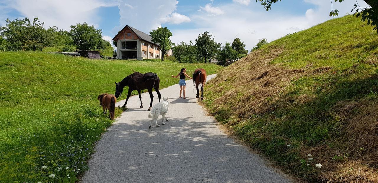 Apartma Pri Bostjanu Appartement Škofja Loka Buitenkant foto