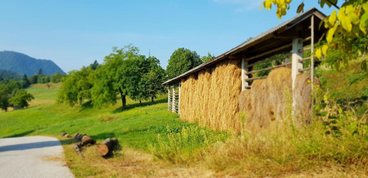 Apartma Pri Bostjanu Appartement Škofja Loka Buitenkant foto