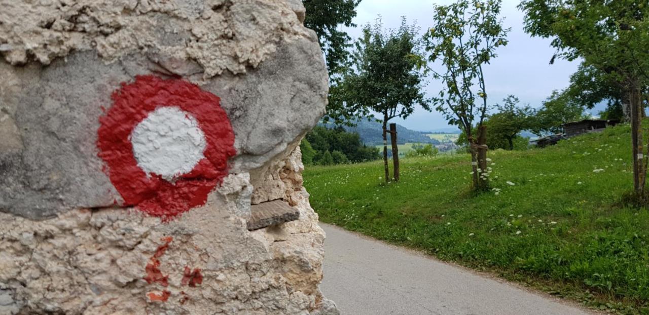 Apartma Pri Bostjanu Appartement Škofja Loka Buitenkant foto